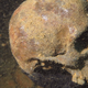 Illustration for article titled Archaeologists Find Sunken Nazi Sub in Indonesia with 17 Skeletons
